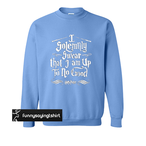 i solemnly swear sweater